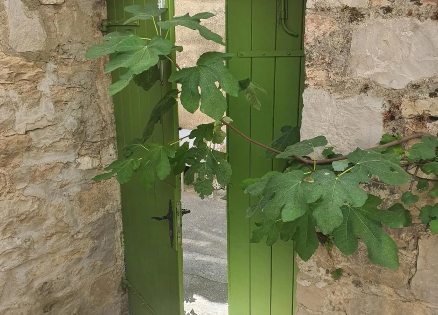 Maison 2 Chambres Olsavinia Kastela
